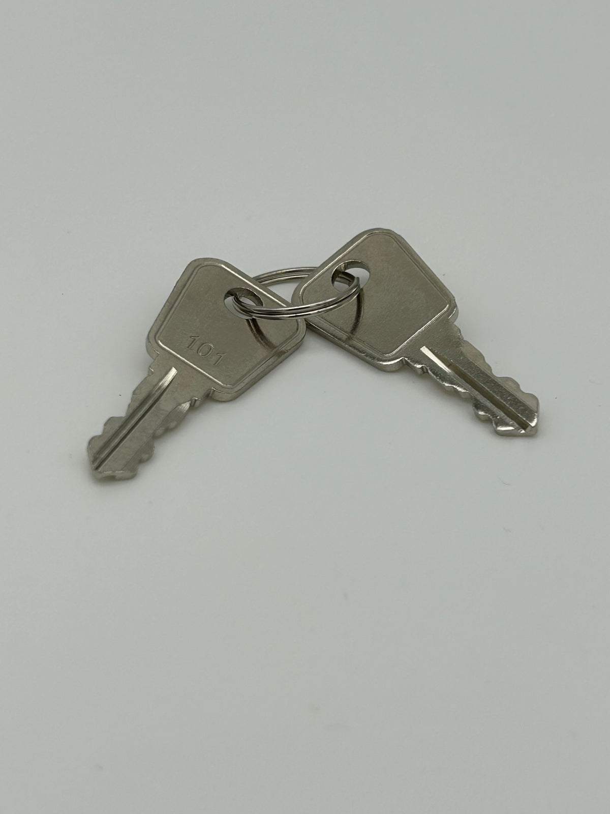 Set of 2 Keys for LynRus Key Switch